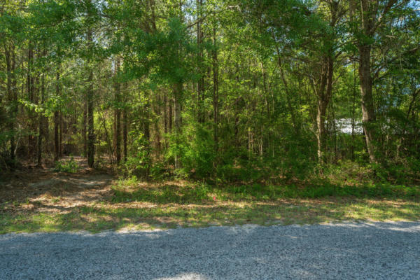 TRACT 8 11 ACRES NELSON RD, POPLARVILLE, MS 39470, photo 3 of 5