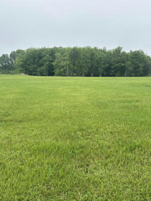 LOT 34 ACADIAN SQUARE, PETAL, MS 39465, photo 3 of 4