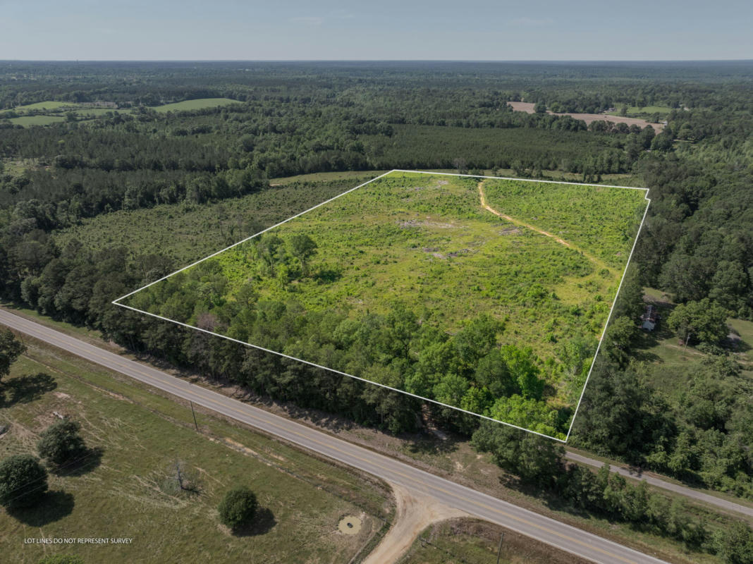 24 ACRES HWY 42, BASSFIELD, MS 39421, photo 1 of 5