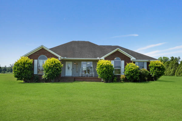 128 HENRY EUBANKS RD, LUCEDALE, MS 39452 - Image 1