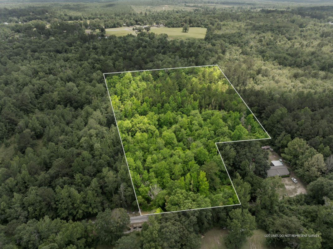 7 ACRES MADDEN LN., SUMRALL, MS 39482, photo 1 of 16