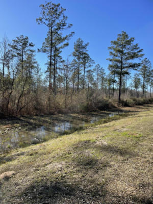 LOT 7 MS-44, COLUMBIA, MS 39429, photo 2 of 6