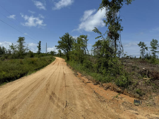 22 ACRES JENKINS RD., NEELY, MS 39461 - Image 1