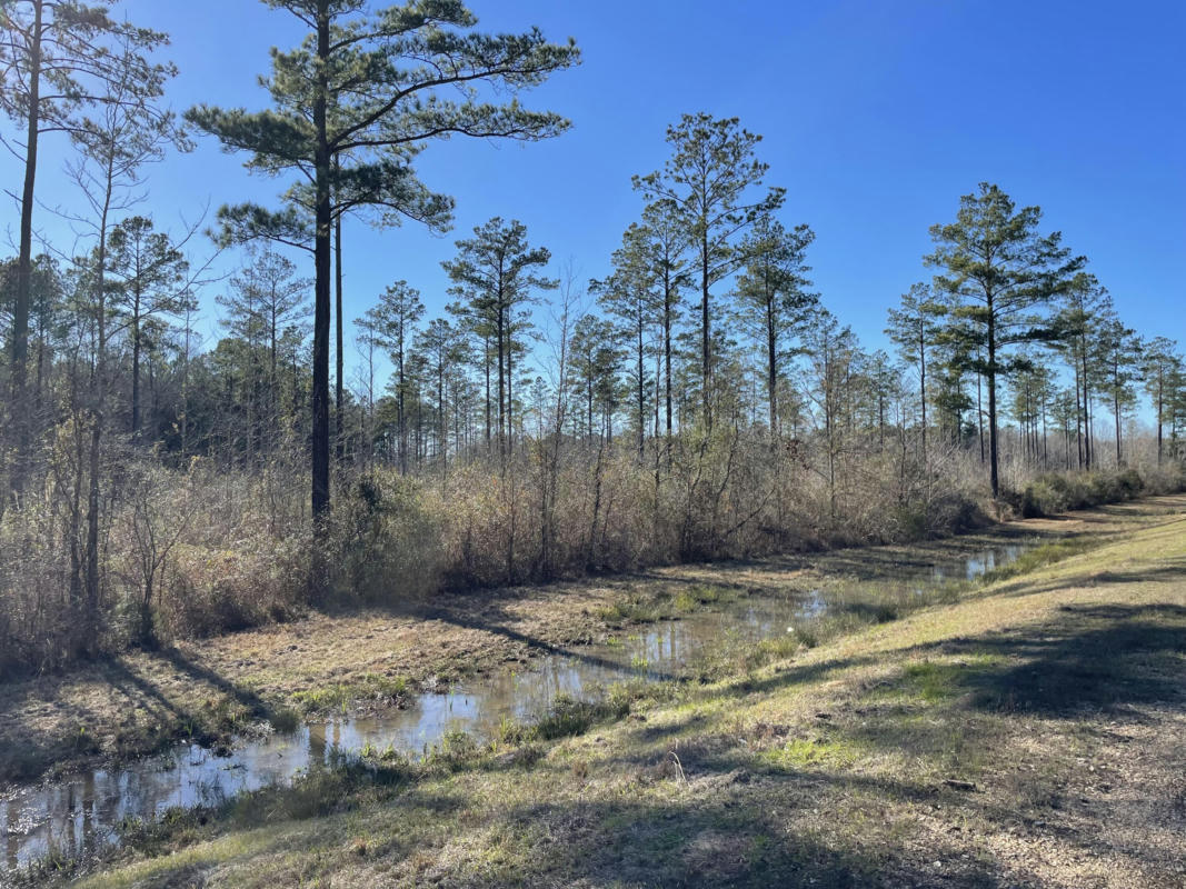 LOT 1 MS-44, COLUMBIA, MS 39429, photo 1 of 5