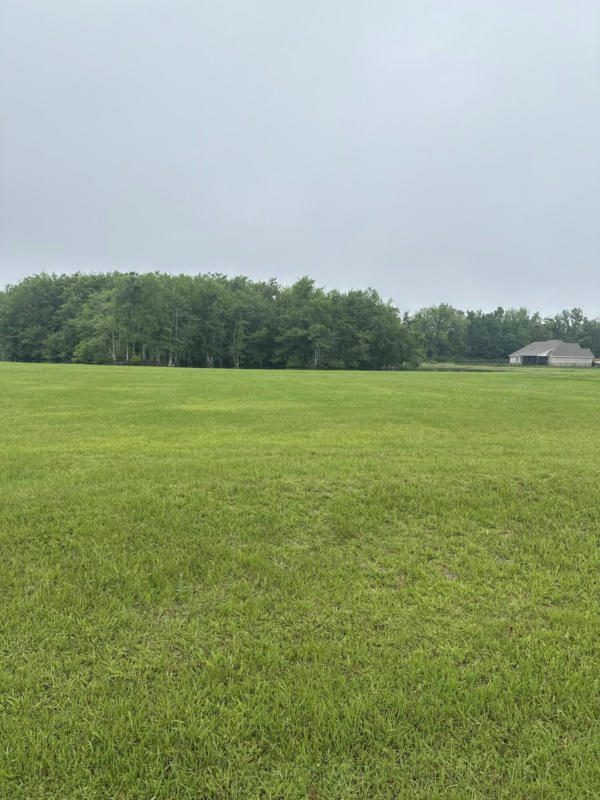 LOT 35 ACADIAN SQUARE, PETAL, MS 39465, photo 1 of 4