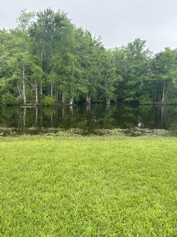 LOT 34 ACADIAN SQUARE, PETAL, MS 39465, photo 1 of 4