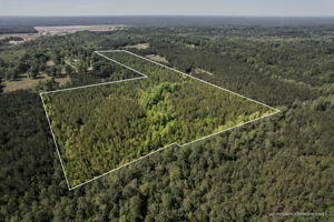35.8 AC PEARCES RD., BROOKLYN, MS 39425, photo 2 of 6