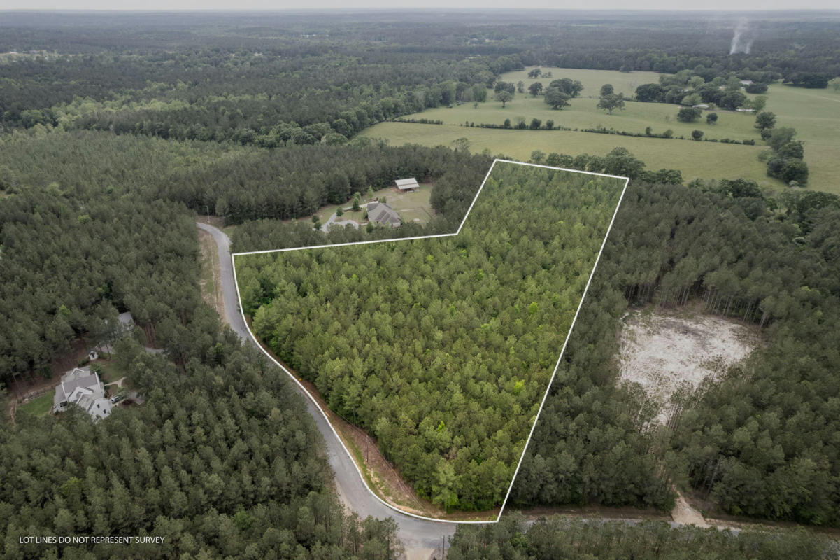 7.52 ACRES PROGRESS TRAIL, SUMRALL, MS 39482, photo 1 of 10
