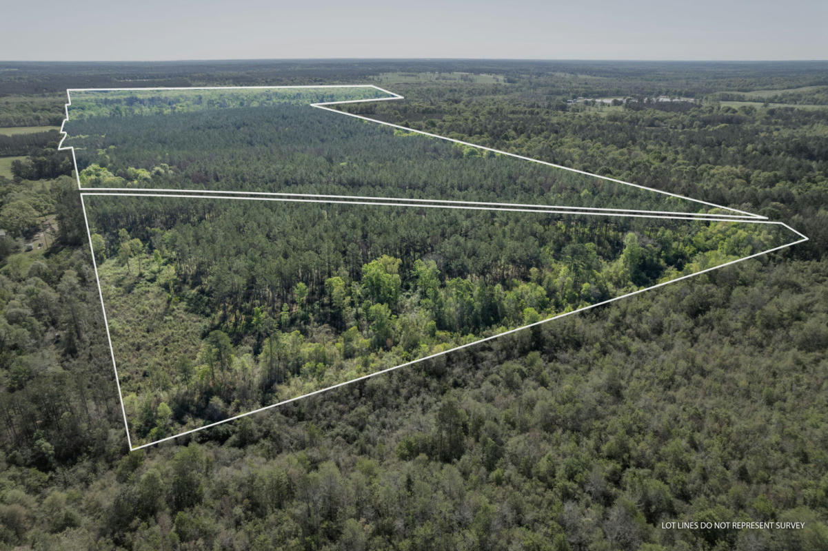 252 ACRES POLK-ATWOOD RD., MOUNT OLIVE, MS 39119, photo 1 of 55