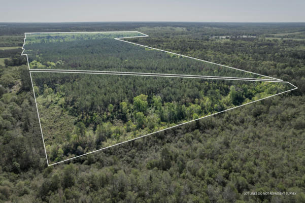 252 ACRES POLK-ATWOOD RD., MOUNT OLIVE, MS 39119 - Image 1
