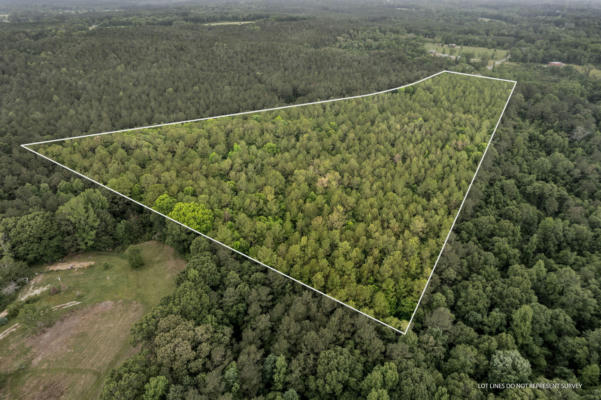 22.5 ACRES NOEL TOWNSEND RD., SEMINARY, MS 39479 - Image 1