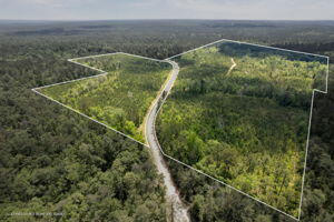 91 ACRES NEW YORK RD., BROOKLYN, MS 39425 - Image 1