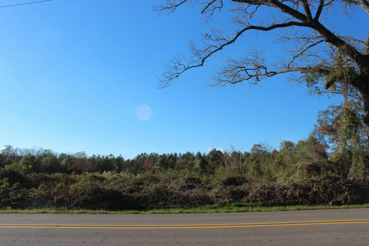 2830 ROCKY BRANCH RD, Sumrall, MS 39482 Land For Sale MLS 132584