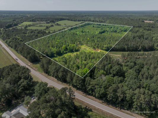 45 ACRES HWY 42, BASSFIELD, MS 39421 - Image 1