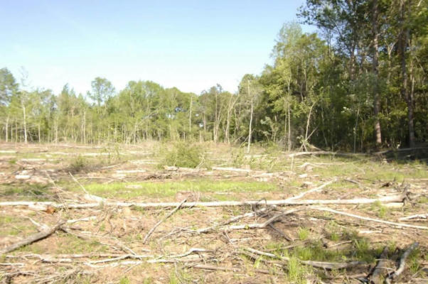 00 EDNA RD., COLUMBIA, MS 39429, photo 3 of 7