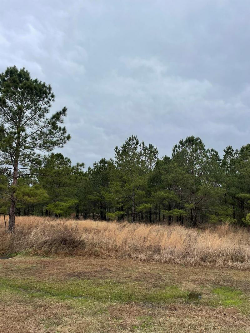 LOT 11 SUMRALL RD., COLUMBIA, MS 39429, photo 1 of 2