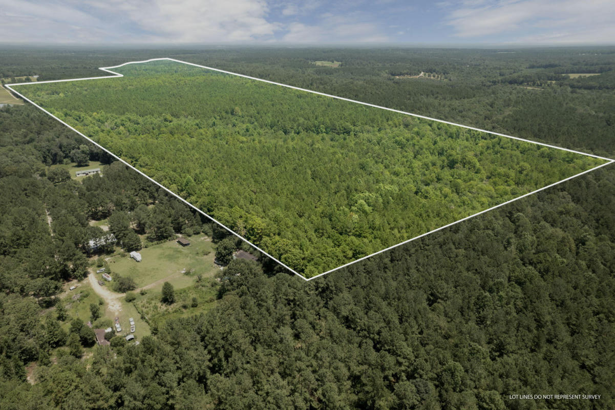 293 ACRES SCRUGGS RD., SUMRALL, MS 39482, photo 1 of 34