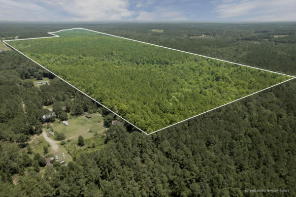 293 ACRES SCRUGGS RD., SUMRALL, MS 39482 - Image 1