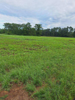 LOT 9 5.0 ACRES FIRE TOWER RD., COLUMBIA, MS 39429 - Image 1