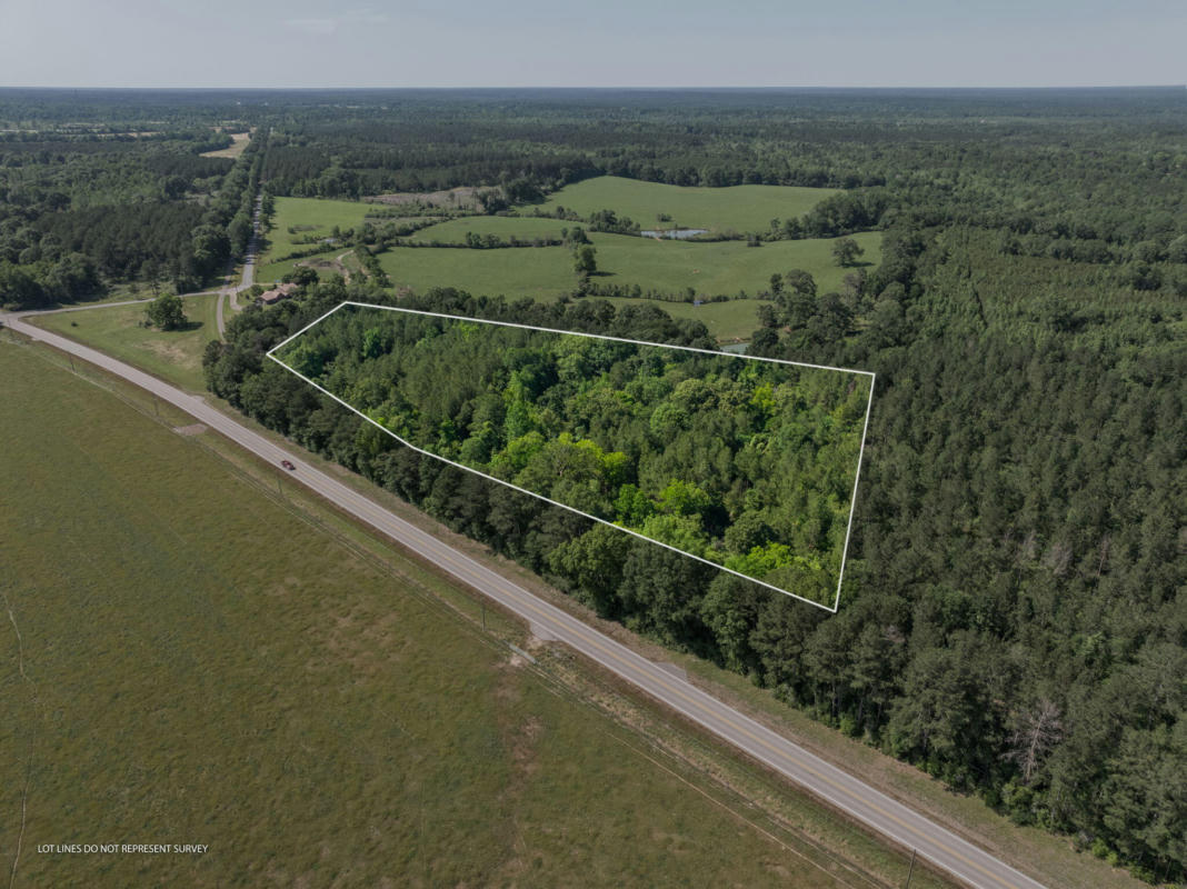 11 ACRES HWY 42, BASSFIELD, MS 39421, photo 1 of 5