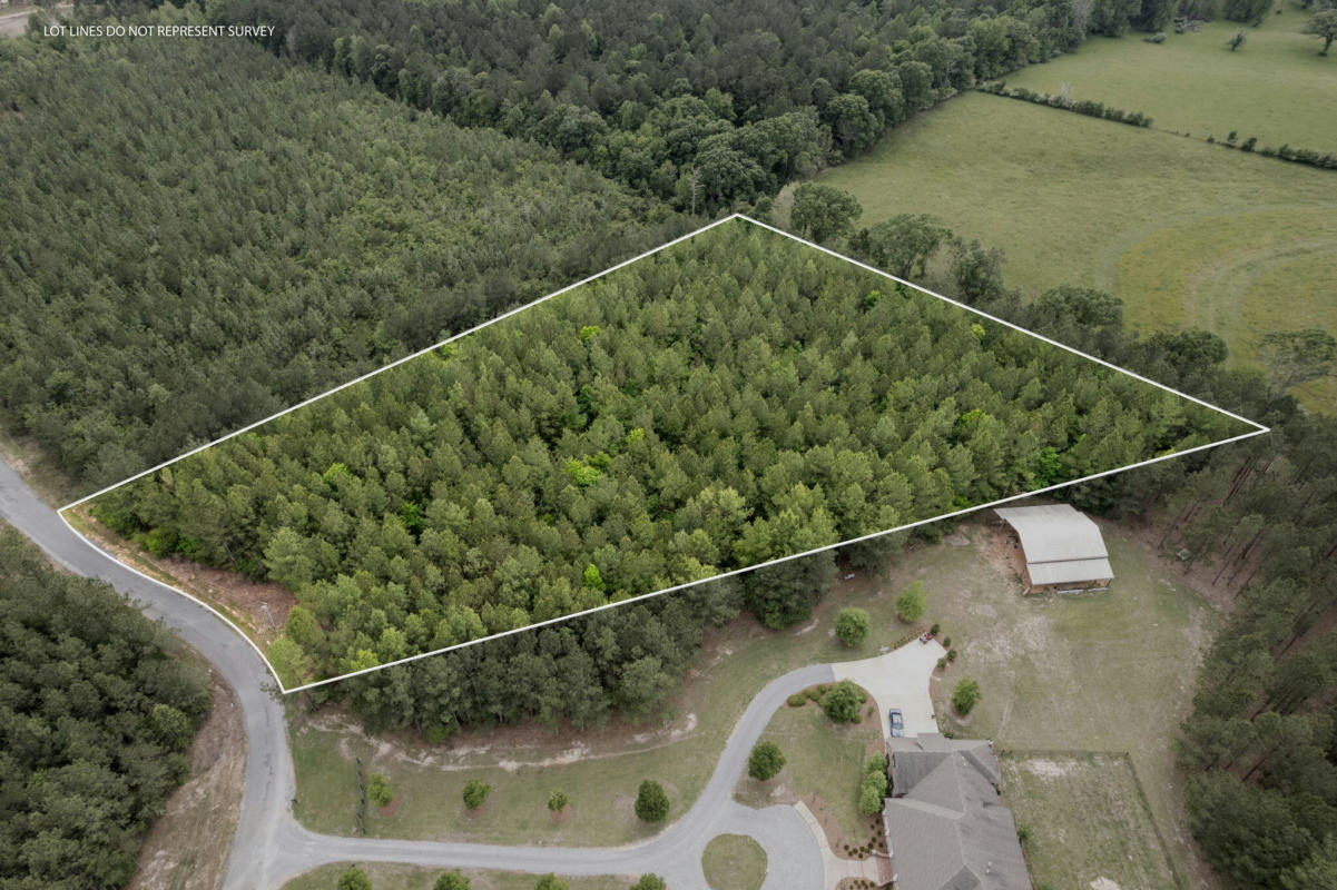 4.97 ACRES PROGRESS TRAIL, SUMRALL, MS 39482, photo 1 of 11