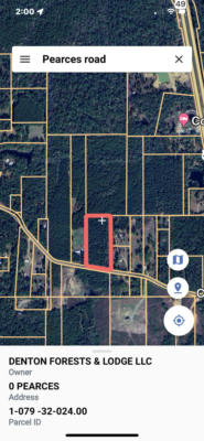35.8 AC PEARCES RD., BROOKLYN, MS 39425, photo 4 of 6