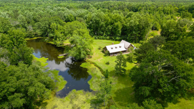 230 COUNTY ROAD 13, LOUIN, MS 39338 - Image 1