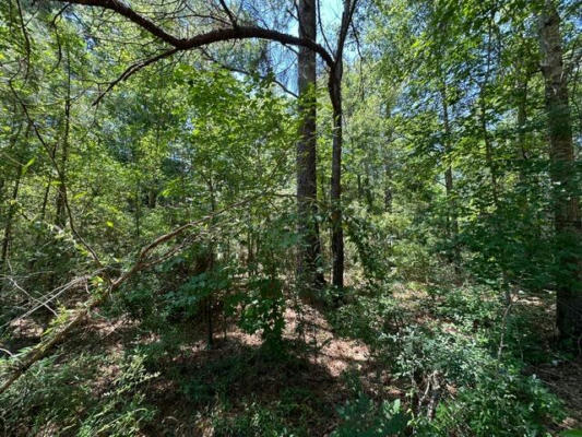 826 PURVIS TO BAXTERVILLE RD, PURVIS, MS 39475 - Image 1