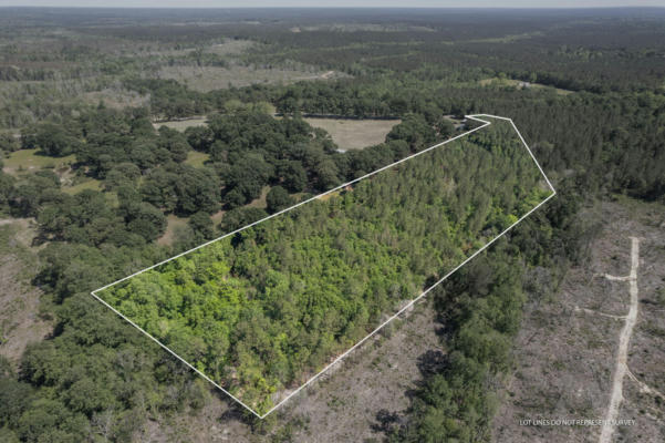 TRACT 8 11 ACRES NELSON RD, POPLARVILLE, MS 39470, photo 2 of 5