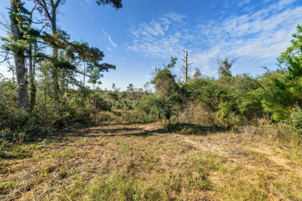 PARCEL 1 BRENT KNIGHT RD., COLLINS, MS 39479, photo 5 of 22