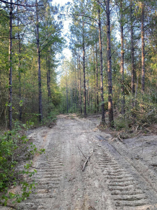 TRACT 2 5.15 ACRES NELSON RD., POPLARVILLE, MS 39470, photo 1 of 6
