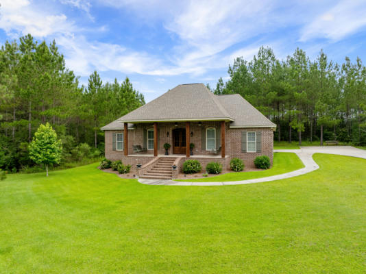 172 BIG HILL RD, SUMRALL, MS 39482 - Image 1