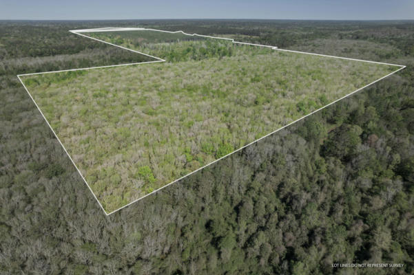 252 ACRES POLK-ATWOOD RD., MOUNT OLIVE, MS 39119, photo 5 of 55